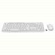 Комплект (клавiатура, миша) бездротовий Logitech MK295 Combo White (920-009824)