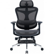 Крісло офісне з підставкою для ніг Sihoo DORO C300L Mesh Black with footrest (DORO-C300L-A3-101-JT)