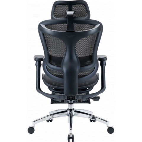 Крісло офісне з підставкою для ніг Sihoo DORO C300L Mesh Black with footrest (DORO-C300L-A3-101-JT) Купити в Україні