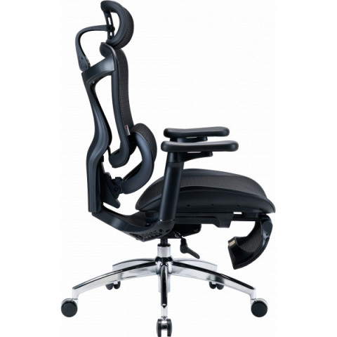 Крісло офісне з підставкою для ніг Sihoo DORO C300L Mesh Black with footrest (DORO-C300L-A3-101-JT) Купити в Україні