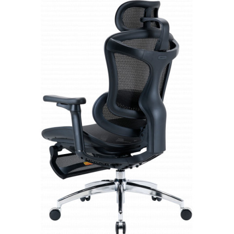 Крісло офісне з підставкою для ніг Sihoo DORO C300L Mesh Black with footrest (DORO-C300L-A3-101-JT) Купити в Україні