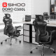 Крісло офісне з підставкою для ніг Sihoo DORO C300L Mesh Black with footrest (DORO-C300L-A3-101-JT) Купити в Україні