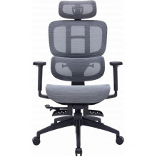 Крісло офісне OfficePro Skyline OC750-B-DG-DG