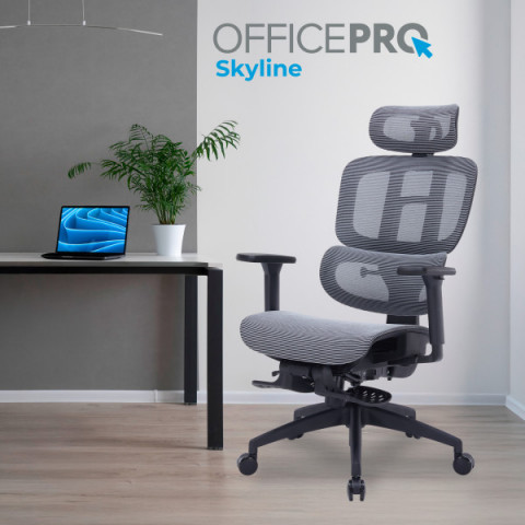Крісло офісне OfficePro Skyline OC750-B-DG-DG Купити в Україні