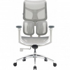 Офісне крісло Sihoo Doro S100 Mesh White (S100-M302)