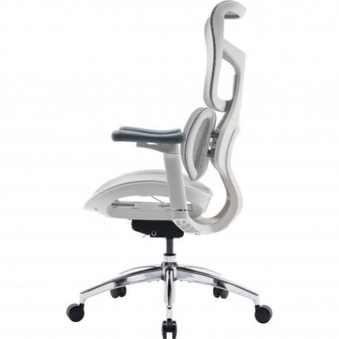 Офісне крісло Sihoo Doro S100 Mesh White (S100-M302)