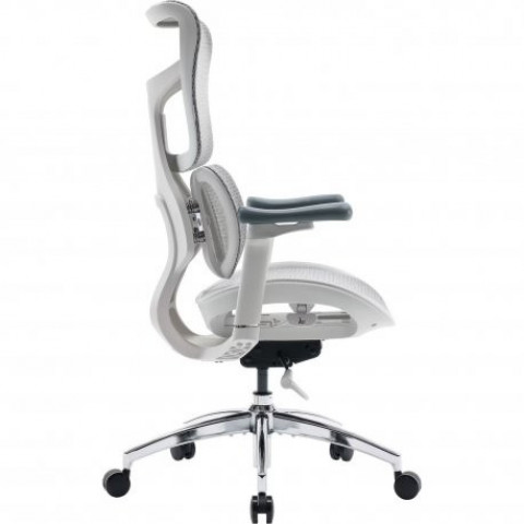 Офісне крісло Sihoo Doro S100 Mesh White (S100-M302)