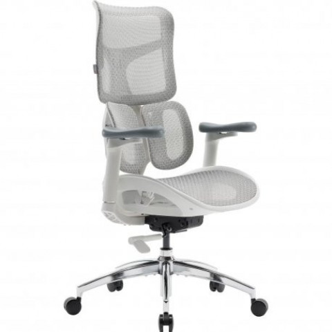 Офісне крісло Sihoo Doro S100 Mesh White (S100-M302)
