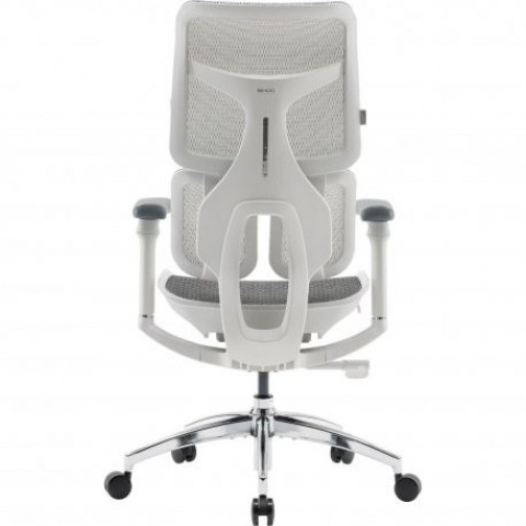 Офісне крісло Sihoo Doro S100 Mesh White (S100-M302)