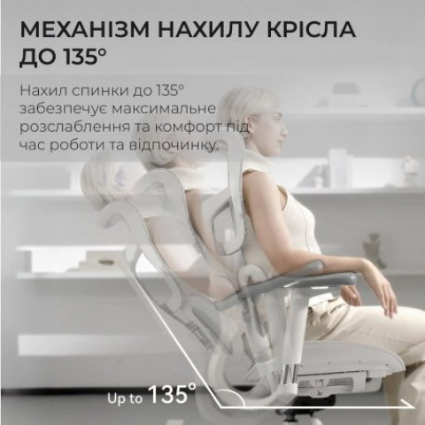 Офісне крісло Sihoo Doro S100 Mesh White (S100-M302)