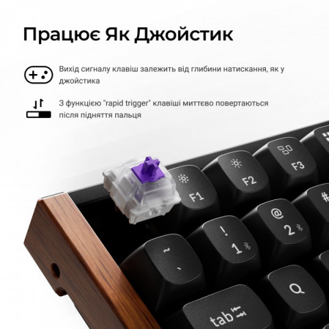 Клавіатура бездротова Keychron K2 HE Magnetic Switch Black RGB (K2H-F1-UA) Купити в Україні