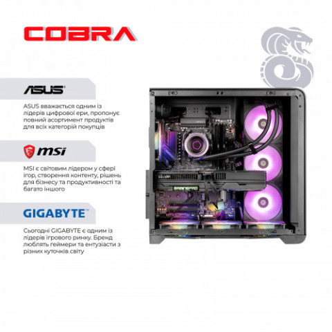 Персональний комп`ютер COBRA Gaming (A99X.32.S5.57.22000)
