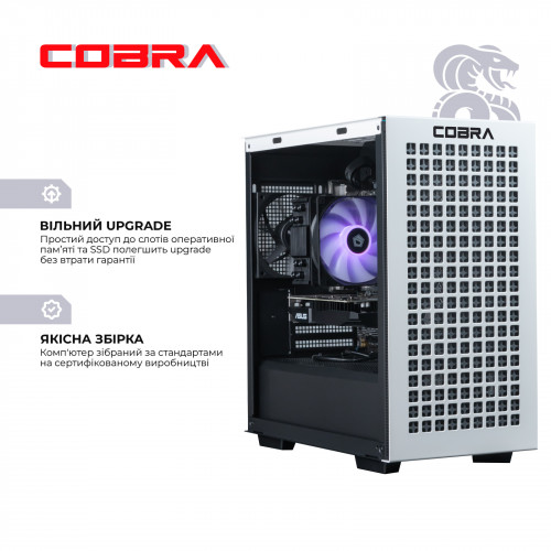 Персональний комп`ютер COBRA Gaming (A96X.64.S10.47T.19746)