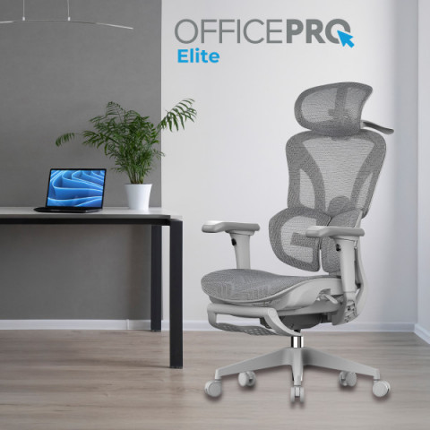 Крісло офісне OfficePro OC950G Grey Купити в Україні