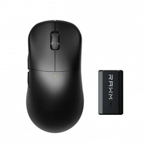 Миша бездротова RAWM ES21Pro Black