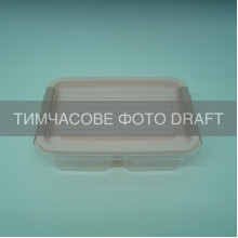 Контейнер двосекційний для зберігання харчових продуктів ARDESTO Fresh 2х0.25л, пластик, прямокутна, рожевий