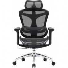 Офісне крісло Sihoo Doro C300L Mesh Black (DORO-C300L-A3-101)