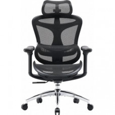 Офісне крісло Sihoo Doro C300L Mesh Black (DORO-C300L-A3-101)