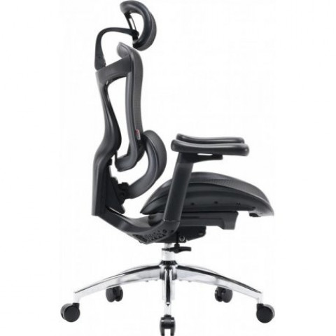 Офісне крісло Sihoo Doro C300L Mesh Black (DORO-C300L-A3-101)