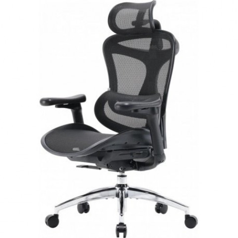 Офісне крісло Sihoo Doro C300L Mesh Black (DORO-C300L-A3-101)