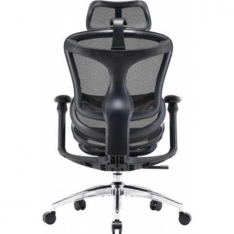 Офісне крісло Sihoo Doro C300L Mesh Black (DORO-C300L-A3-101)
