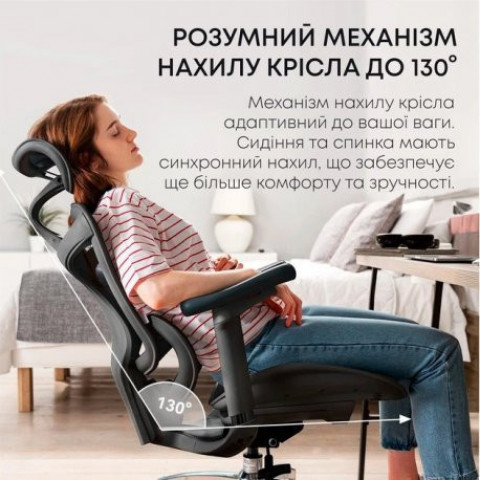 Офісне крісло Sihoo Doro C300L Mesh Black (DORO-C300L-A3-101)
